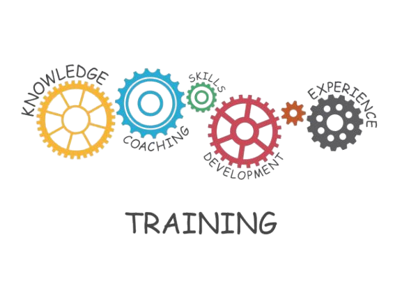 Training Development